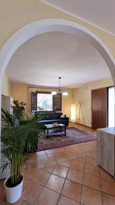 Villa Luxury Pool & Garden Pisa Eksteriør billede