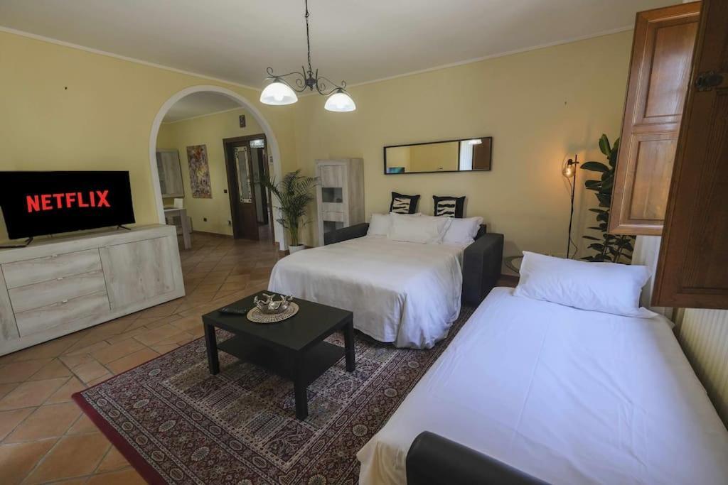 Villa Luxury Pool & Garden Pisa Eksteriør billede